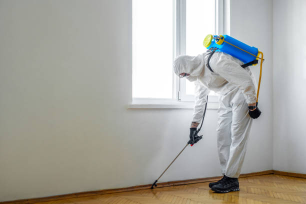 Professional Pest control in Central Square, NY